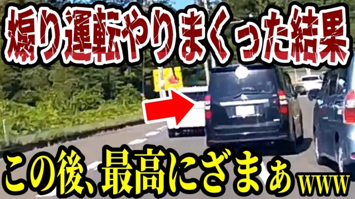 【ドラレコ】あおり運転しまくるヤバいやつが出現、この後、最高にスッキリの瞬間【ゆっくり解説】