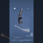 煽り運転対処方法