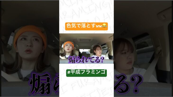 煽り運転への対応www #切り抜き集 #平成フラミンゴlive切り抜きch #www #平成フラミンゴ切り抜き