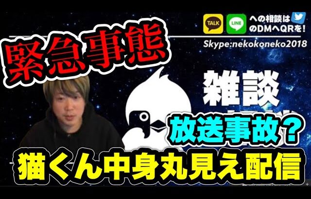 【🚨渡部緊急事態】リスナー放送事故待ち勢待機中(2024年11月25日)  #だっすー #ツイキャス #ツイキャス切り抜き #切り抜き #猫こねこ #渡部 #放送事故