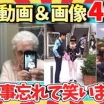 【🌋爆笑】腹筋崩壊！厳選した笑いをお届け！爆笑動画＆画像40選/ガルちゃん選抜/2ch/ゆっくり