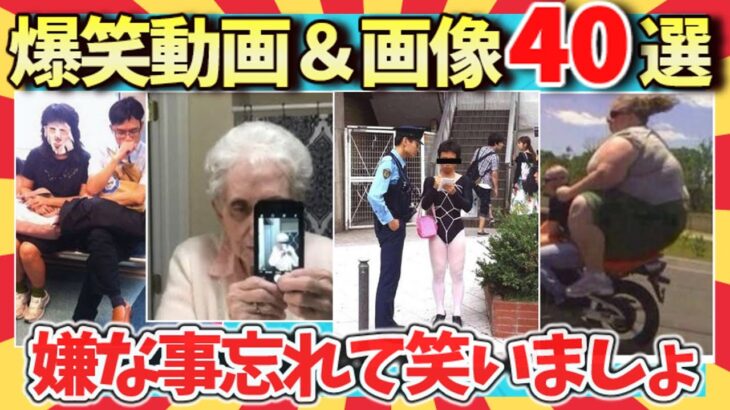 【🌋爆笑】腹筋崩壊！厳選した笑いをお届け！爆笑動画＆画像40選/ガルちゃん選抜/2ch/ゆっくり