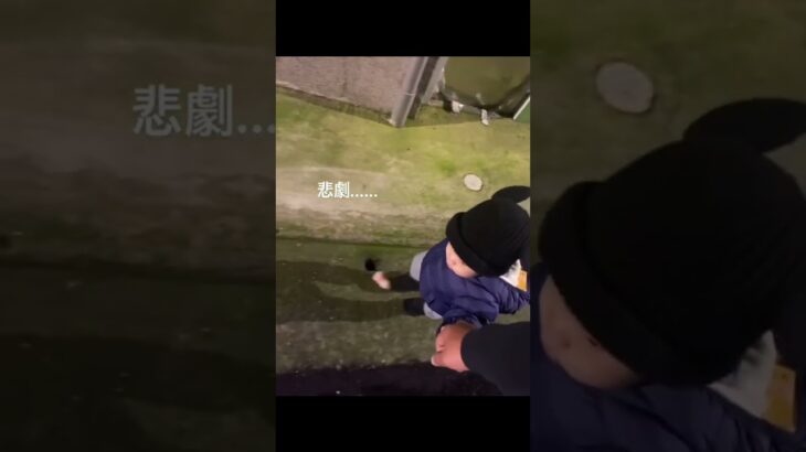 奇跡の瞬間４選 #爆笑 #おもしろ動画 #奇跡 #ばずれ #チャンネル登録お願いします #おすすめにのりたい