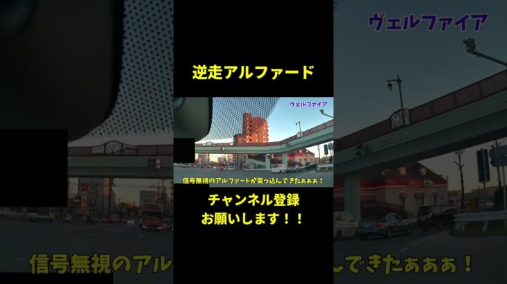 【危険運転】逆走するDQNアルファード【ドラレコ】#shorts