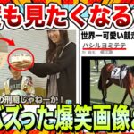 【🔥爆笑】Xでバズりまくったww爆笑画像＆動画まとめ【ゆっくり解説】【コメ付き】【面白画像】