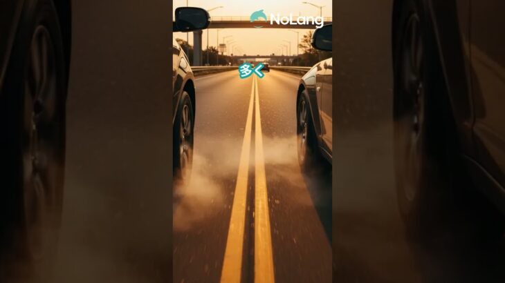 煽り運転vs煽られ運転