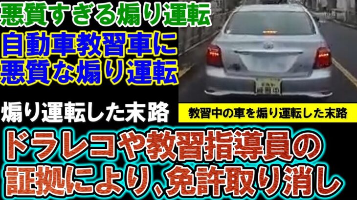 【煽り運転】教習車にジグザグ蛇行運転を繰り返した男の末路。免許取り消しなど厳重な処分が下る。