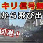 迷惑運転者たち　No.2179　ドッキリ信号無視！・・死角から飛び出す車・・緊急回避！・・【危険運転】【ドラレコ】【事故】【迷惑】【煽り】