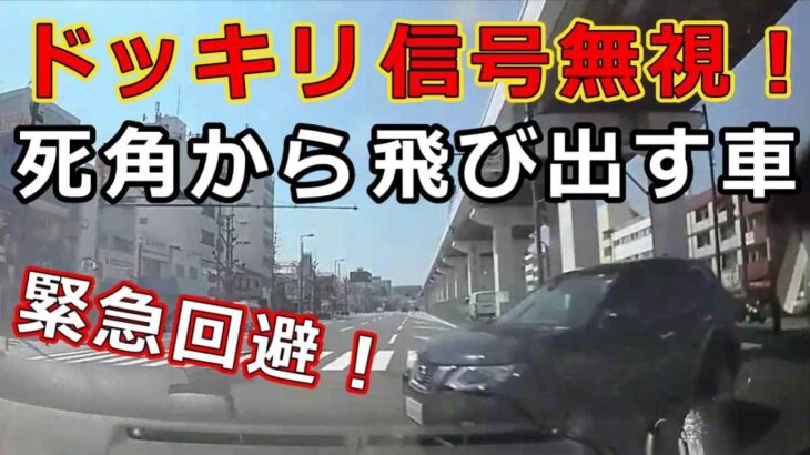 迷惑運転者たち　No.2179　ドッキリ信号無視！・・死角から飛び出す車・・緊急回避！・・【危険運転】【ドラレコ】【事故】【迷惑】【煽り】