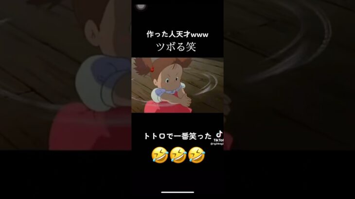 トトロツボる笑 #トトロ #天空の城ラピュタ #面白い #面白い動画 #short #バズれ #伸びろ