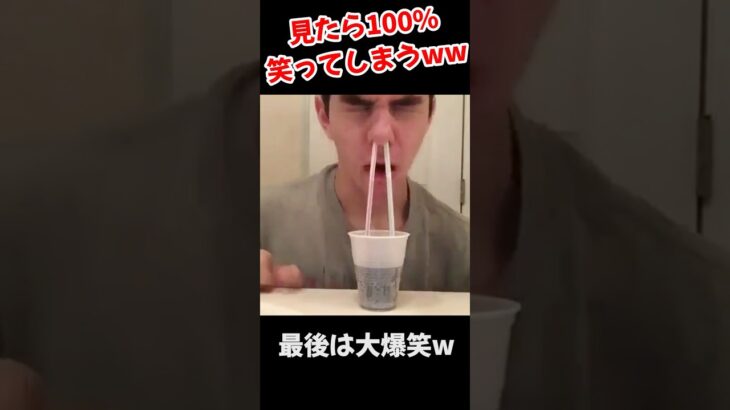 そらそうだろww #shorts #笑ってはいけない #面白い動画