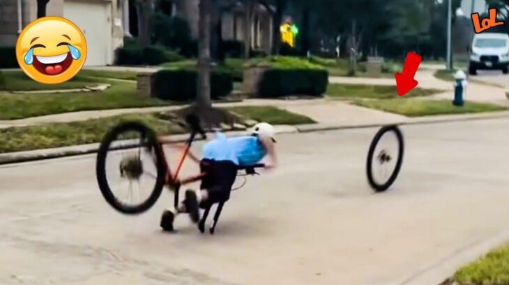 This Week’s Best Failure – Try not to Laugh #75🤣 Funny Fails compilation 2025