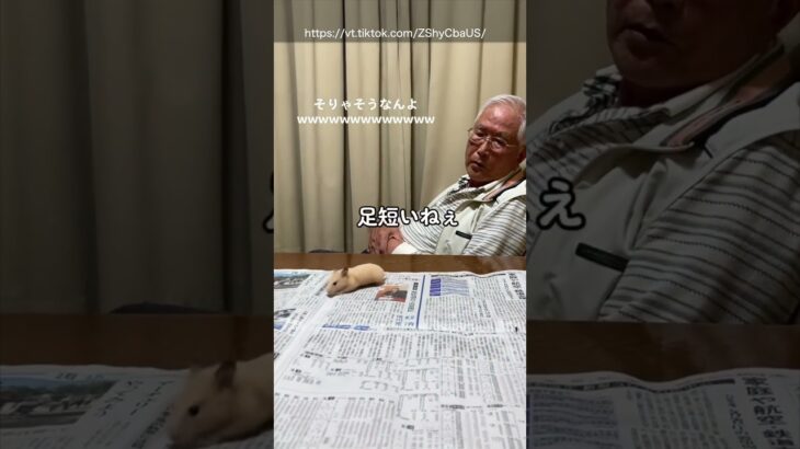 【替え歌】おじいちゃんの動画で笑ったら負けwww②#ほーみーず  #あるある  #珍事件  #放送事故  #替え歌