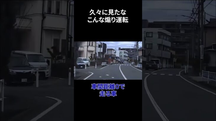あんだけニュースになってて、まだ煽り運転する人いるの？　#ドラレコ #迷惑運転