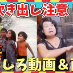 【🌋爆笑】吹いたら負け！ツッコミ待ったなしw爆笑おもしろ動画＆画像集/ガルちゃん選抜/面白画像/ゆっくり