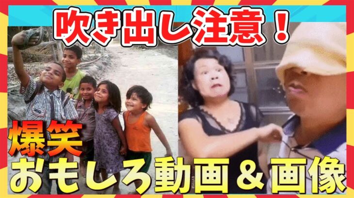 【🌋爆笑】吹いたら負け！ツッコミ待ったなしw爆笑おもしろ動画＆画像集/ガルちゃん選抜/面白画像/ゆっくり