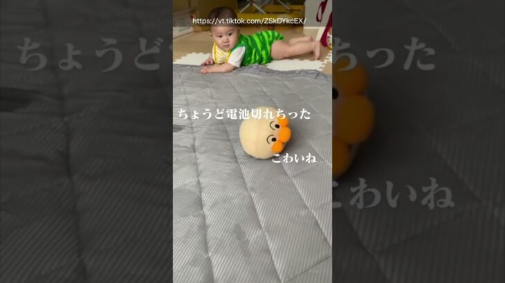 【替え歌】キッズの動画で笑ったら負けwww③#ほーみーず  #あるある  #珍事件  #放送事故  #替え歌