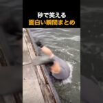 秒で笑える面白い瞬間まとめ🤣🤣🤣