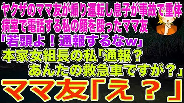 【スカッとする話】ヤクザのママ友が煽り運転し息子が事故で重体…病室で電話する私の顔を殴ったママ友｢若頭よ！通報するなw｣本家女組長の私｢通報？あんたの救急車ですが？｣ママ友は地獄行きに…