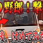 【ドラレコ】これはひどいwww イキり煽り運転、まさかの自爆エンドで草【交通安全・危険予知トレーニング】【スカッと】