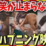 【爆笑】笑いが止まらないやめられないハプニング映像集 / 2ch
