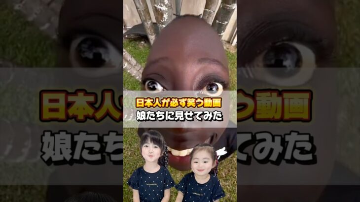 日本人なら絶対笑うって動画を見せてみた🤣笑ったらいいね、笑わなかったらコメントしてね🤗✨#笑ってはいけない #日本人なら絶対笑うらしい #年子育児 #shorts