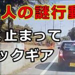迷惑運転者たち　No.2316　老人の謎行動！・・急に止まってバックギア・・【危険運転】【ドラレコ】【事故】【迷惑】【煽り】