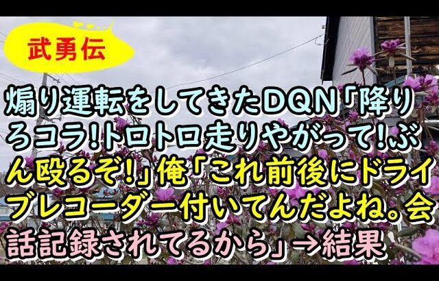 【武勇伝】煽り運転をしてきたDQN「降りろコラ!トロトロ走りやがって!ぶん殴るぞ!」俺「これ前後にドライブレコーダー付いてんだよね。会話記録されてるから」→結果【痛快・スカッとジャパン!】