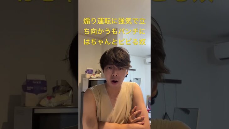 【あるある】煽り運転に強気で立ち向かうもパンチにはちゃんとビビる奴#shorts #fyp