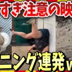 【爆笑】笑いすぎ注意！！お腹痛くなるほど世界のハプニング映像 / 2ch