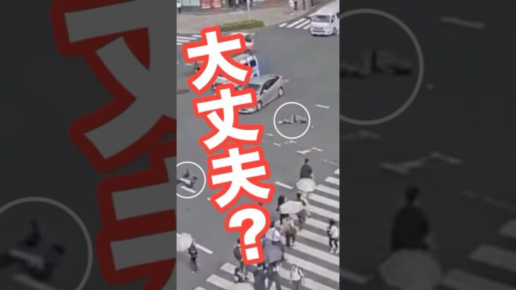 信号無視をしてはいけないことがよくわかる動画