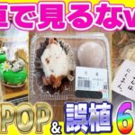 【総集編】爆笑！全国各地のおもしろ過ぎるPOP＆誤植を大特集！笑ったら寝ろw