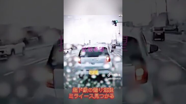 究極のDQN発見、いまだに煽り運転があるんですね？皆さんはどう対応されますか？#shorts#究極#DQN#基地外#オラオラ