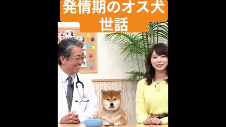 犬の気持ち #sora #ai #美女