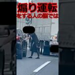 【雑学】煽り運転をする人の脳では・・・【行動心理】 #shorts