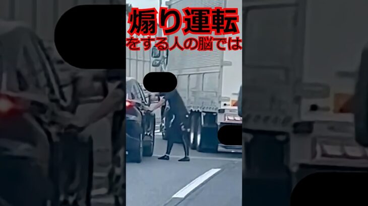 【雑学】煽り運転をする人の脳では・・・【行動心理】 #shorts