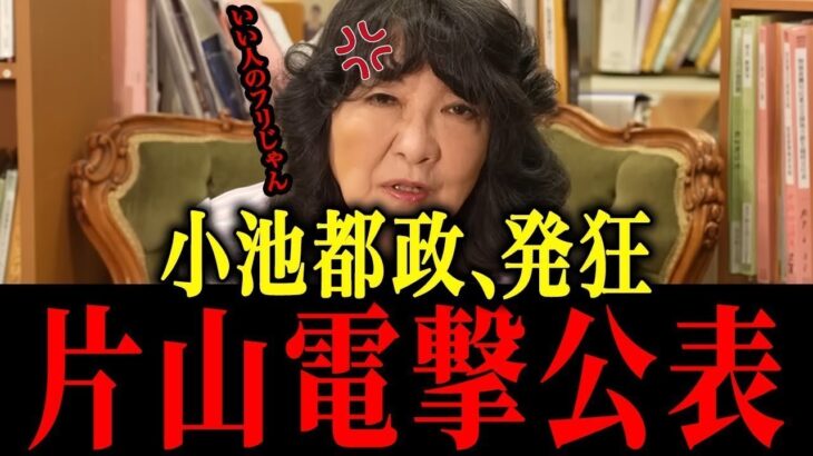 【片山さつき】※東京都の天下りが発覚…放送事故レベルの暴露【佐藤沙織里 消費税 東京都議会本会議】