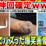 【🔥爆笑】年末は笑いで今年の嫌な思い出を全て忘れようwwwネットでバズりまくったおもしろ画像＆動画集www【2ch】【5ch】【ゆっくり解説】【コメ付き】【面白画像】