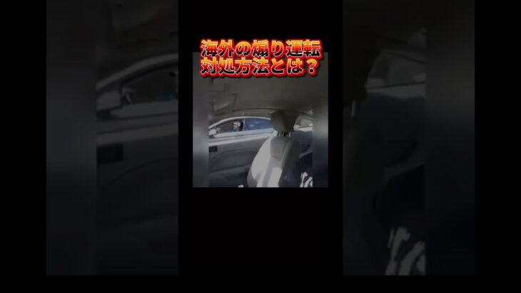 海外の煽り運転の対処法が素晴らしい