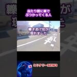 【煽り運転超え】轢き逃げ犯が現れた。