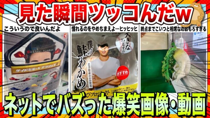 【🔥爆笑】何回見ても笑えるネットでバズりまくったおもしろ画像&動画集www【2ch】【5ch】【ゆっくり解説】【コメ付き】【面白画像】