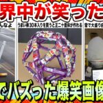 【🔥爆笑】2026年も笑っていい年にしようwwwSNSでバズり散らかした最強爆笑動画＆神画像まとめ【2ch】【5ch】【ゆっくり解説】【コメ付き】【面白画像】