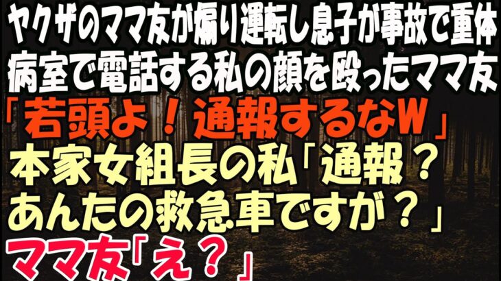 【スカッとする話】ヤクザのママ友が煽り運転し息子が事故で重体…病室で電話する私の顔を殴ったママ友｢若頭よ！通報するなw｣本家女組長の私｢通報？あんたの救急車ですが？｣ママ友は地獄行きに…w【修羅