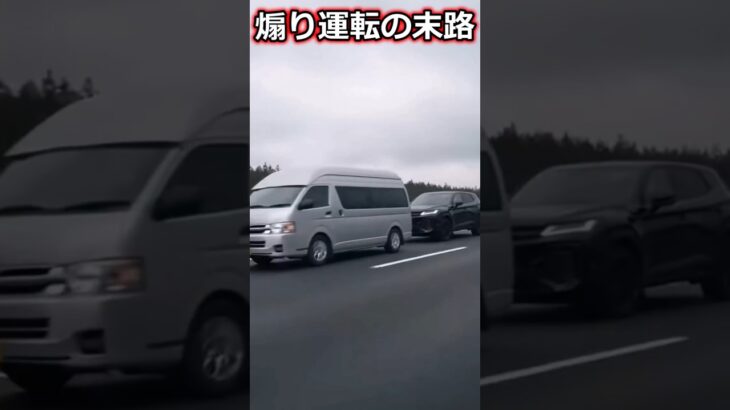 煽り運転の予想もしない結末 #ショート  #shorts