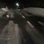 2026.1.31 煽り運転？