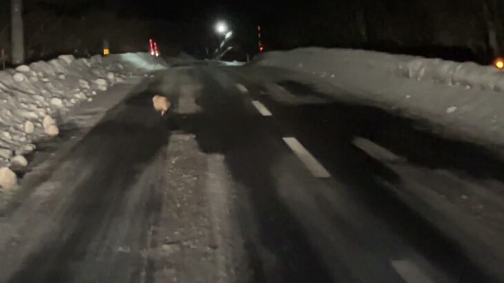 2026.1.31 煽り運転？