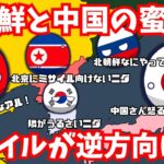 【キンペー】北の将軍様に祝電を送るも返り討ちｗ　#ポーランドボール