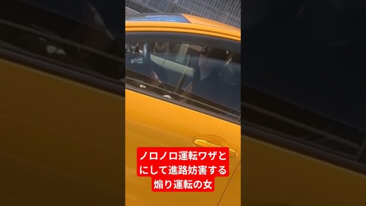 ノロノロ運転ワザとにして進路妨害する煽り運転女、悔しいです😭