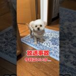 【放送事故】そのまま公開しちゃう #shorts