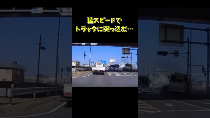 信号無視の車がトラックに激突…衝撃でトラックが浮き上がる #ドラレコ #shorts #交通事故